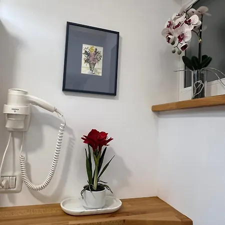 Cozy דירה